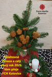 Vánoční přání FCH Katovice 25