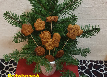 Přání FCH Katovice